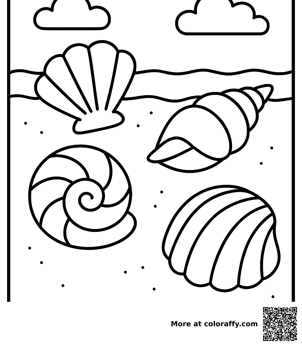 Seashells
